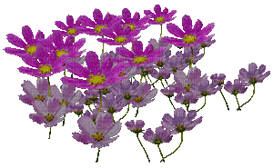 fleurs - Безплатен анимиран GIF