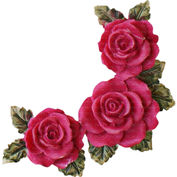roses border - 免费PNG