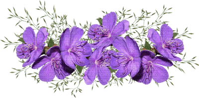 fleur violette.Cheyenne63 - png gratis
