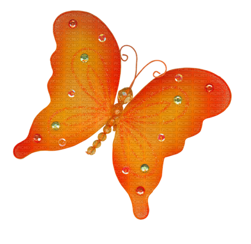 Papillon Orange:) - δωρεάν png