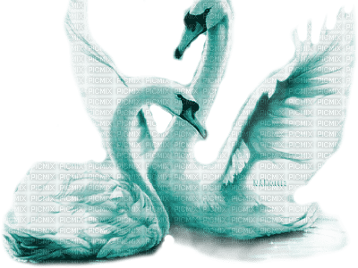 Y.A.M._Birds swans blue - zdarma png