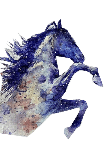 Aquarelle cheval - gratis png