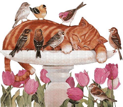 dolceluna spring cat vintage deco bird birds - Безплатен анимиран GIF