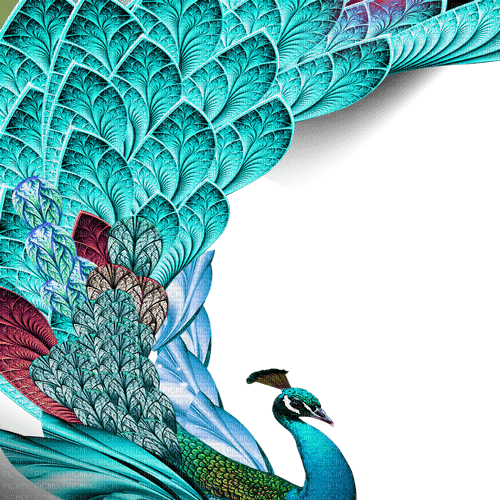 Y.A.M._Birds peacock decor - 免费PNG