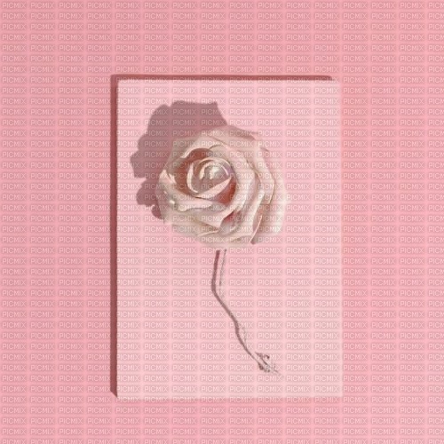 Pink Wallpaper - By StormGalaxy05 - zadarmo png