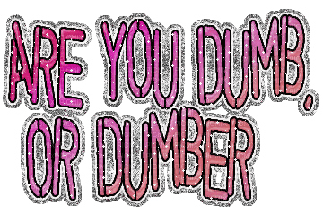Are you dumb, or dumber - 免费动画 GIF