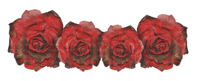 roses - bezmaksas png