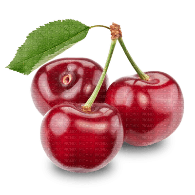 fruit cherries bp - PNG gratuit
