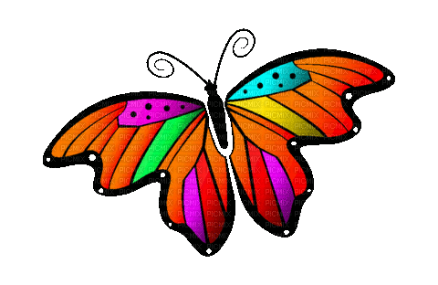 Schmetterling/Butterfly - Animovaný GIF zadarmo