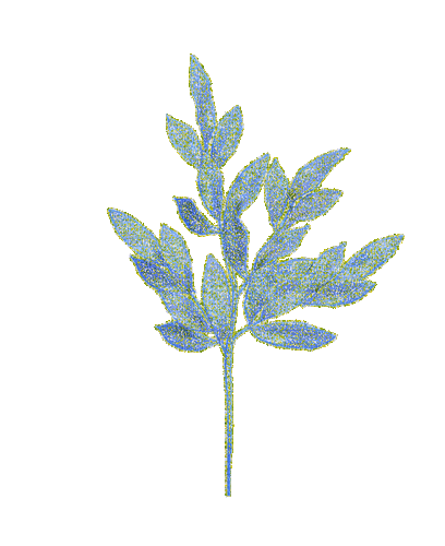 blue branch - Nemokamas animacinis gif