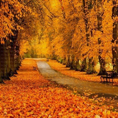 autumn background  by nataliplus - PNG gratuit