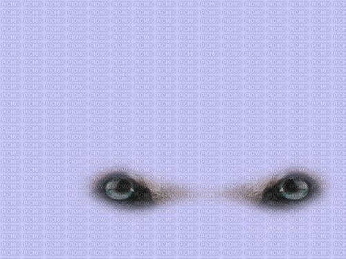 Background Eyes - Darmowy animowany GIF