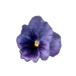 lila-flower3 - nemokama png