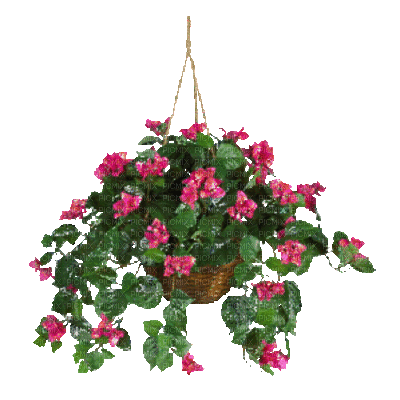 plant flowers glitters - Безплатен анимиран GIF