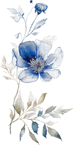 ♡§m3§♡ BLUE FLOWER SPRING ANIMATED GIF - GIF animado grátis
