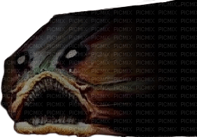 iron lung fish - 無料png