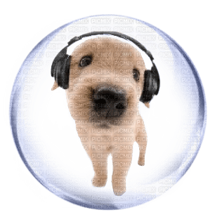 dog bubble 2 - 免费PNG