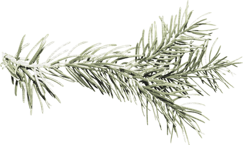 winter deco by nataliplus - png grátis