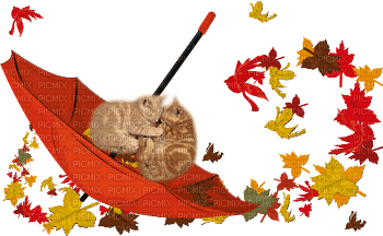 Katze Cat Herbst - Free PNG