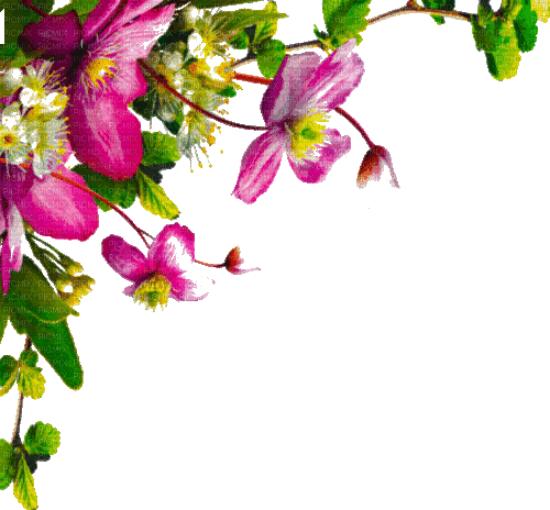 Y.A.M._Spring Flowers Decor - Zdarma animovaný GIF