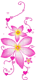 pink flower - Ücretsiz animasyonlu GIF