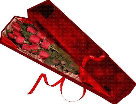 cadeau fleur boite - PNG gratuit