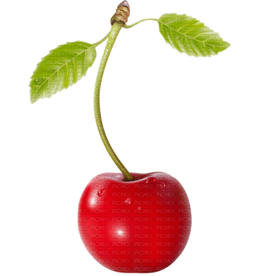 Kaz_Creations Cherries Cherry - ingyenes png