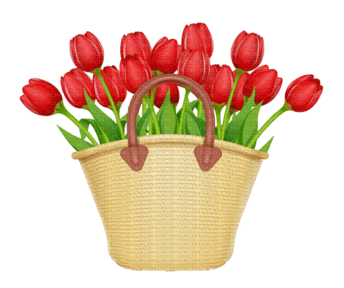 Flowers. Tulip. Red. Basket. Leila - ücretsiz png
