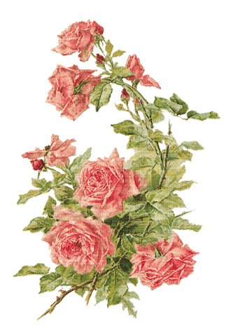 soave deco flowers rose branch vintage pink green - PNG gratuit