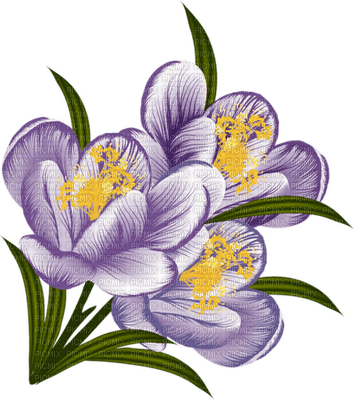 Kaz_Creations Deco Flowers Flower  Purple - бесплатно png