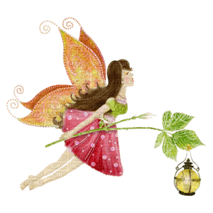 Kaz_Creations Fairy Fairies - png gratuito