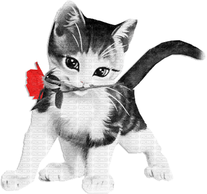 soave deco valentine animals cat flowers rose - Free PNG