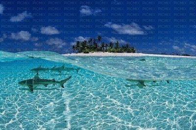 Maldive - 無料png
