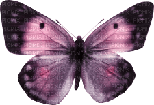 butterfly kikkapink purple - ücretsiz png