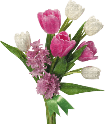 minou-pink-white-tulips-tulipes-roses et blanches-tulipani rosa e bianchi-rosa och vita tulpaner-flowers-deco - Free PNG