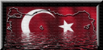 turkey - Zdarma animovaný GIF
