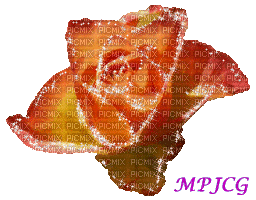 Rosa mpjcg - Бесплатный анимированный гифка