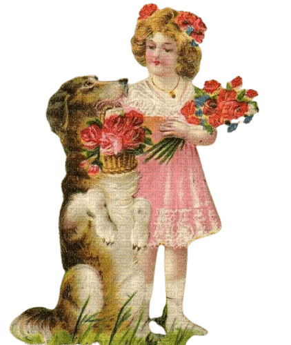 valentine dog valentin - фрее пнг