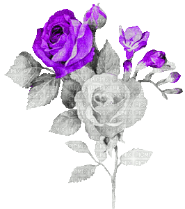 soave deco flowers rose branch animated vintage - Δωρεάν κινούμενο GIF
