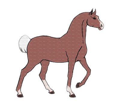 aze cheval marron Brown - Gratis animerad GIF