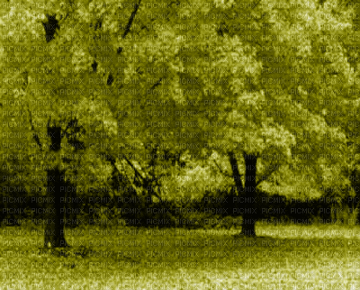 Kaz_Creations Deco  Trees Backgrounds Background Colours - Animovaný GIF zadarmo