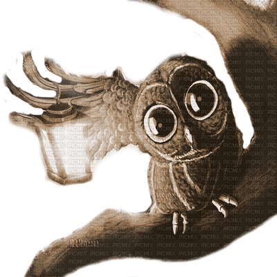 Y.A.M._Fantasy bird owl sepia - nemokama png