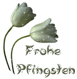frohe pfingsten - 免费动画 GIF