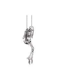Kaz_Creations  Animated Skeleton Swing - Free animated GIF