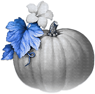 soave deco autumn thanksgiving pumpkin flowers - безплатен png