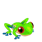frog gif - Бесплатный анимированный гифка