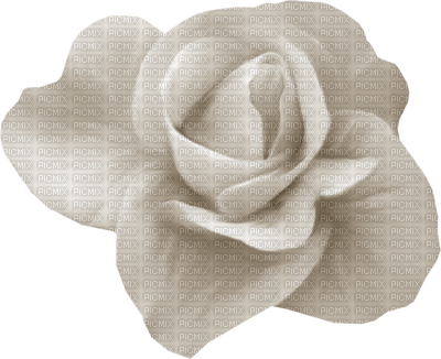Fleur blanche - gratis png