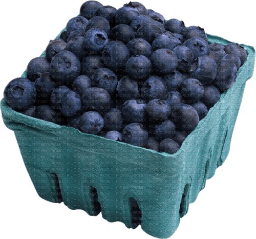 Fruit. Blueberry. Leila - nemokama png
