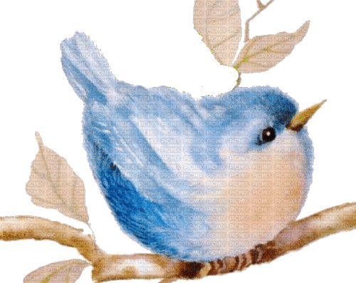 watercolor blue bird - GIF animado grátis