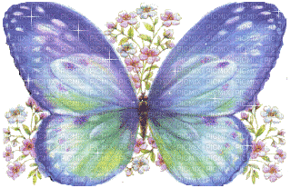 butterfly - GIF animé gratuit
